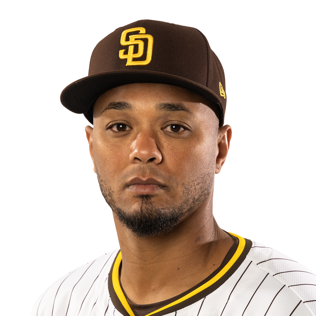 Martín Maldonado headshot