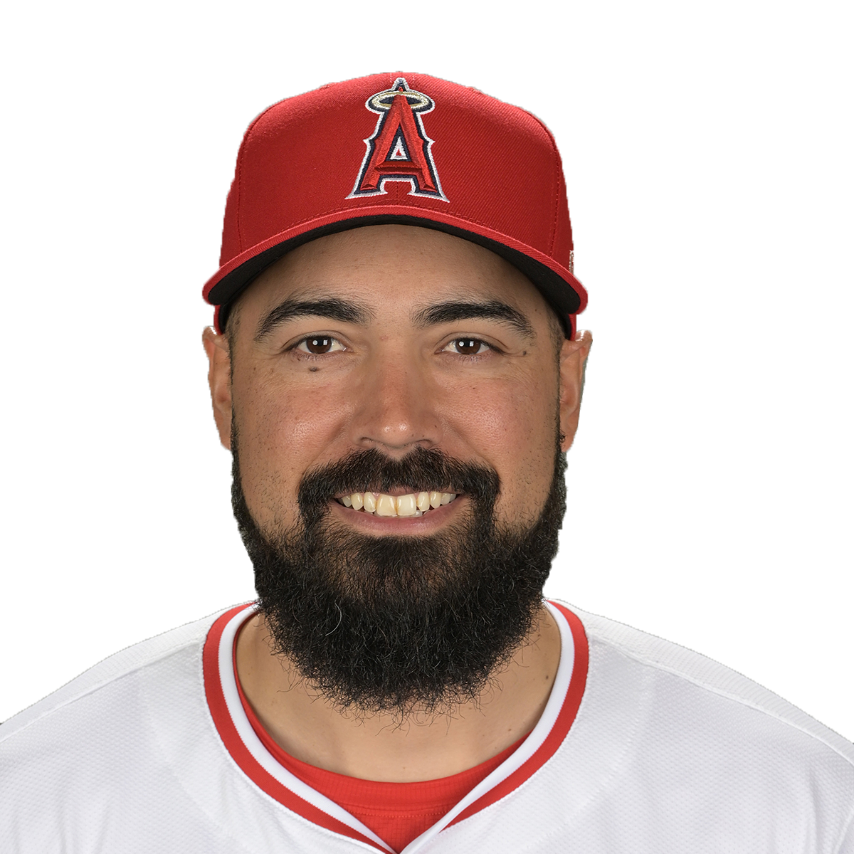 Anthony Rendon headshot