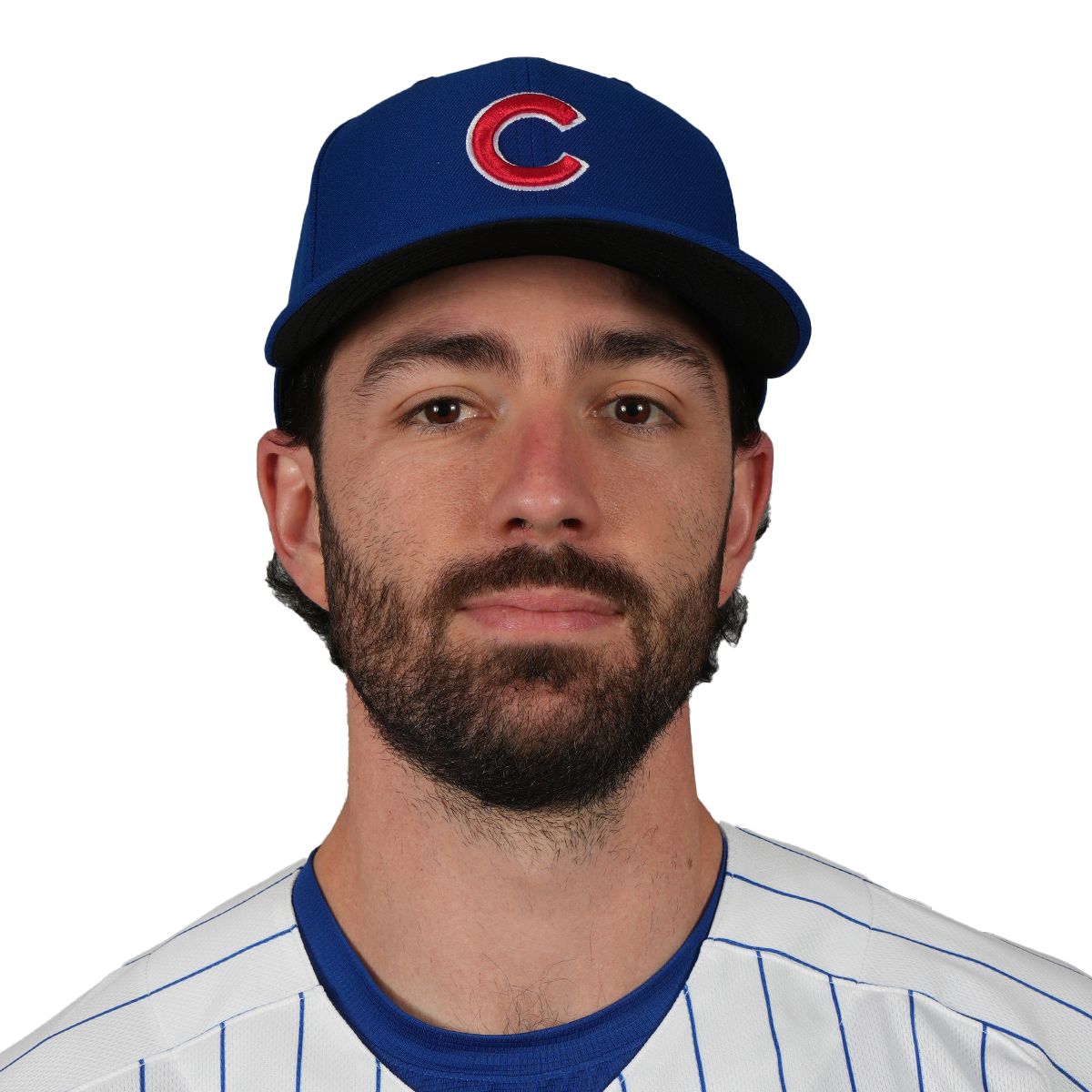 Dansby Swanson headshot