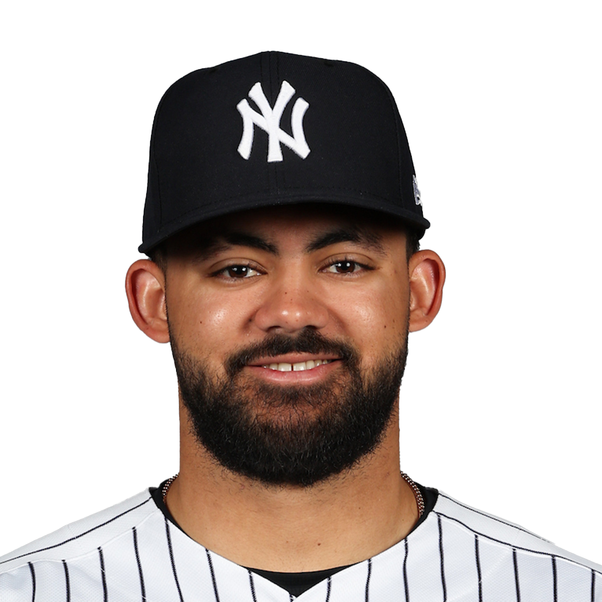 Jasson Domínguez headshot